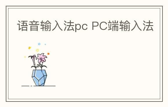 语音输入法pc PC端输入法